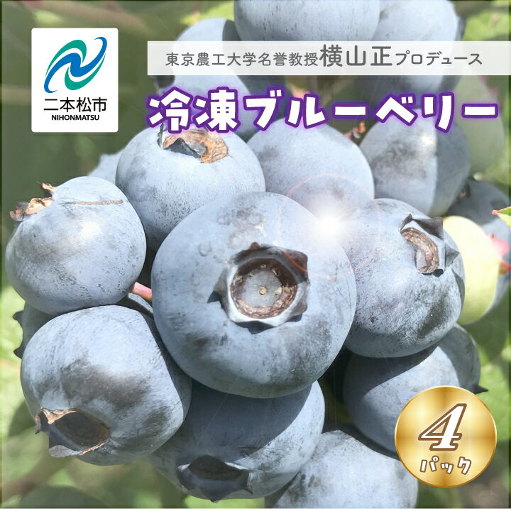 【ふるさと納税】 《2025年7月以降順次発送》東京農工大学名誉教授「横山　正」ブランドのブルーベリー冷凍果実500g（4パック）セット（品種おまかせ） ブルーベリー フルーツ おすすめ お中元 お歳暮 ギフト 二本松市 福島県 送料無料 【東和ブルーベリー研究農園】