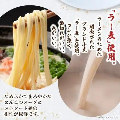 Y08-10 一風堂 とんこつラーメン 白丸 8食 ラーメン