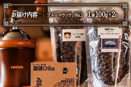 コーヒー豆 ブルーマウンテン 100g 2パック 計 200g [珈琲Chiba 福岡県 筑紫野市 21761419]