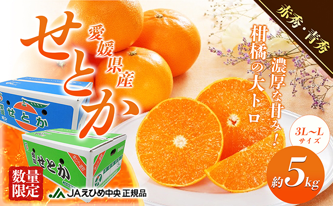 露地せとか　赤秀・青秀　約5kg 果物類 みかん 柑橘 フルーツ 食後 デザート ジューシー 甘い コク 香り 国産 愛媛県産 愛媛県産せとか