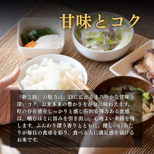 【9月中旬配送】上越市産 新潟 新之助 2kg しんのすけ お米 精米 米 ご飯