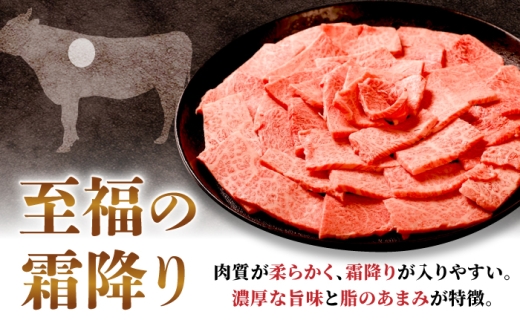飛騨牛 肩ロース（焼肉用）800g / 飛騨牛 国産 肩ロース ロース 焼肉 焼き肉 黒毛和牛 和牛 牛肉 BBQ 岐阜県 / 御嵩町 / 馬力家 [AVBO082]