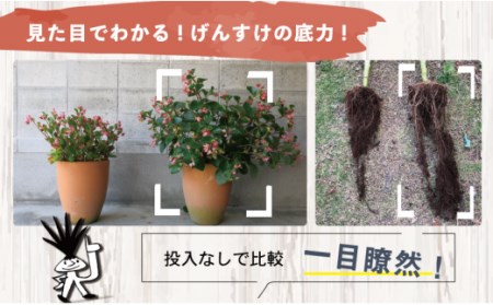 【 土壌改良材 】 土壌改良材ペレットタイプ