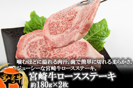 ＜宮崎牛のセットB＞翌月末迄に順次出荷【 牛 牛肉 詰め合わせ BBQ 焼き肉 焼肉　しゃぶしゃぶ 鍋 すき焼き ステーキ スライス 国産 黒毛和牛 】