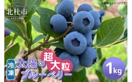 【超大粒】山梨県産（明野産）冷凍　ブルーベリー1,000g 　ブルーベリー 超大粒 冷凍 1000g 無農薬 期間限定 数量限定 フルーツ くだもの 冷凍フルーツ 新鮮 ジュース ジャム お菓子 山梨県 北杜市 明野町