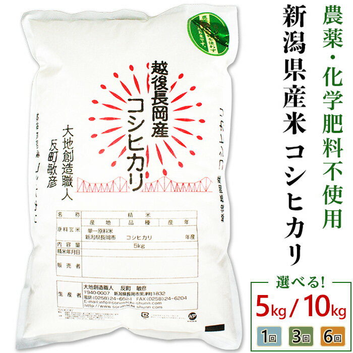 【ふるさと納税】令和7年産 米 定期便 5kg 10kg 新潟 コシヒカリ 選べる回数 1回 3回 6回 3ヶ月 6ヶ月 新潟こしひかり 精米 白米 お米 新潟県産コシヒカリ（大地創造職人 反町敏彦）