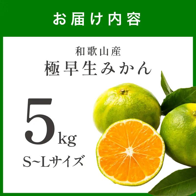 極早生みかん 5kg 和歌山産 甘酸っぱいみかん【1213】