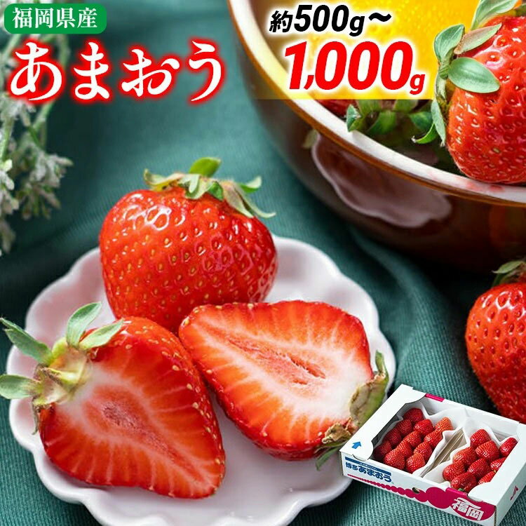 【ふるさと納税】福岡産【冬】あまおう 量が選べる 約500g 約1000g いちご 苺 九州産 福岡県産 冷蔵 送料無料 【2025年12月上旬から2026年1月末にかけて順次発送】 イチゴ フルーツ 果物 くだもの ※北海道・沖縄・離島は配送不可 大木町産 南国 フルーツCO001 CO002