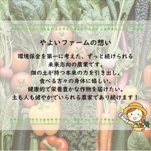 【こだわり春の野菜詰め合わせセット】Mサイズ　栽培期間中農薬・化学肥料・除草剤不使用の旬野菜【配送不可地域：離島】【1679694】