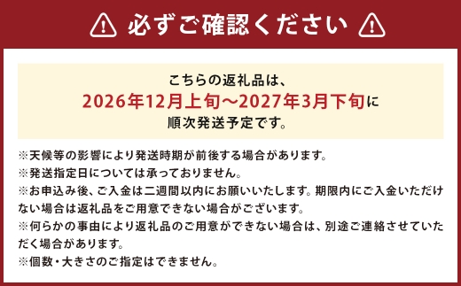 塩トマトS～M玉約4kg