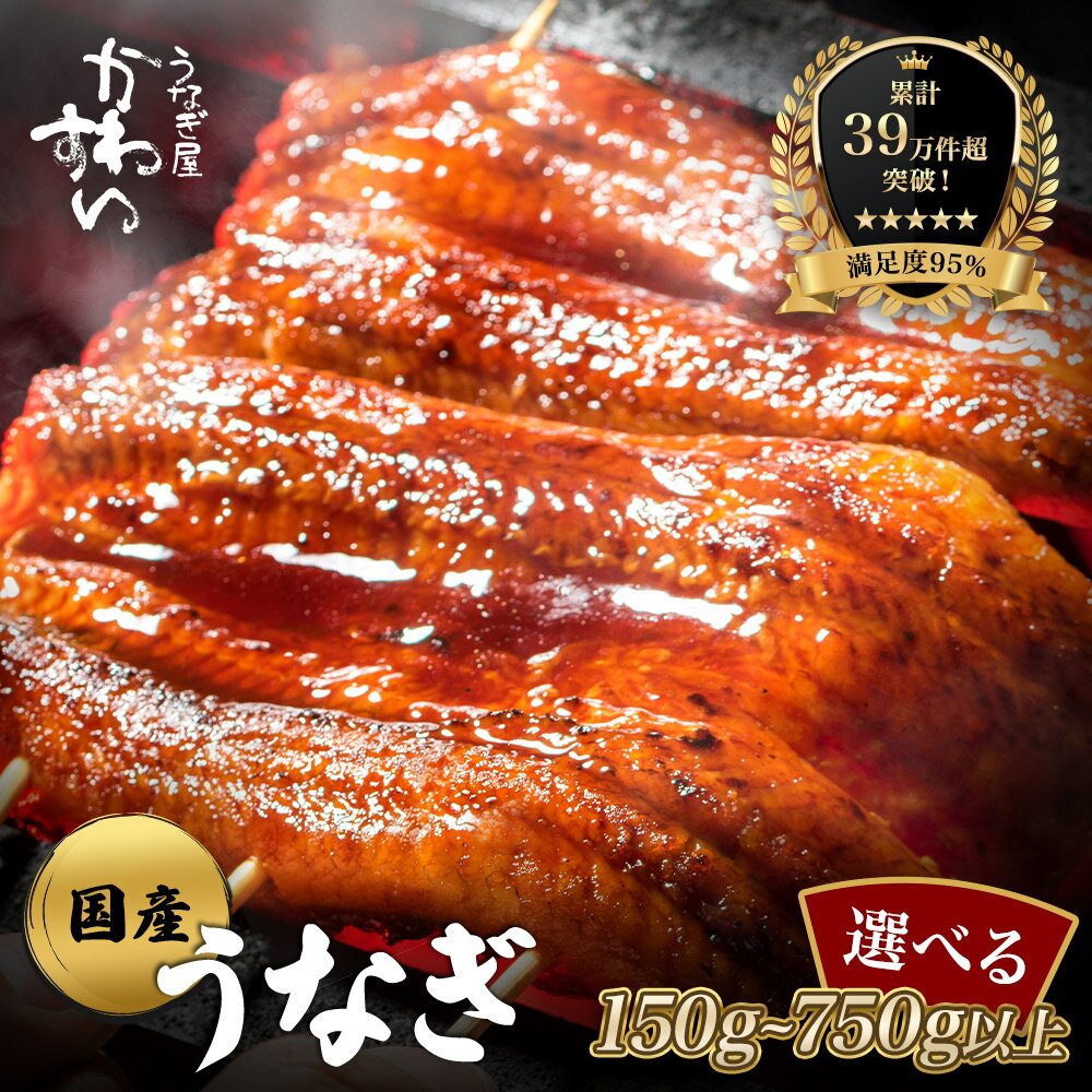 国産うなぎ蒲焼き大サイズ2本セット