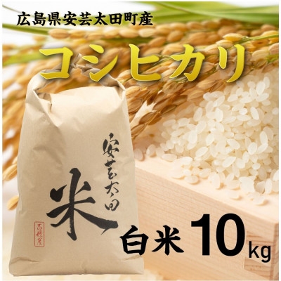 
                  ＜令和8年産＞コシヒカリ　白米10kg【1441136】
                