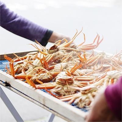 ふるさと納税 宮津市 新物　セコガニ　コッペがにほぐし身(中サイズ)　3個セット【甲羅盛り】 |  | 02