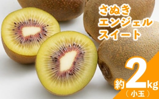 先行予約 キウイ 約2kg 小玉 キウイフルーツ さぬきエンジェルスイート 果物 果実 フルーツ 旬 デザート 選べる 容量 11月上旬～12月上旬 配送 家庭用 贈答用 ギフト プレゼント 香川県 丸亀市