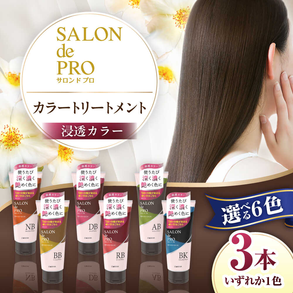 【ふるさと納税】【選べるカラー】 ダリヤ サロンドプロ カラートリートメント 3個セット＜ナチュラルブラウン/ダークブラウン/アッシュブラウン/ベージュブラウン/ローズブラウン/ナチュラルブラック＞ / 稲沢市 / 日興商事株式会社[BMBK003]