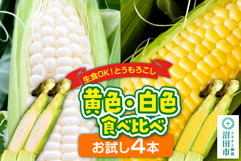 《7月下旬～9月中旬発送》とうもろこし 味来・ピュアホワイト お試しセット（各2本／合計4本）