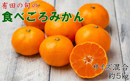 有田の旬の食べごろみかん約5kg（サイズ混合）（秀・優品混合）★2026年11月下旬頃より順次発送 ［TM226］