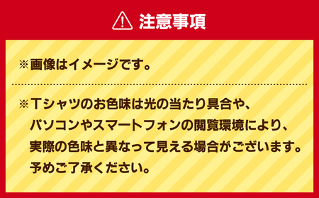 【 セット 】三浦国際市民マラソン 大会 記念グッズ オリジナル Tシャツ（各 Sサイズ ・ 三色セット ） M037-016-01 三浦市民マラソン マラソン グッズ 限定グッズ 記念大会 オリジナ