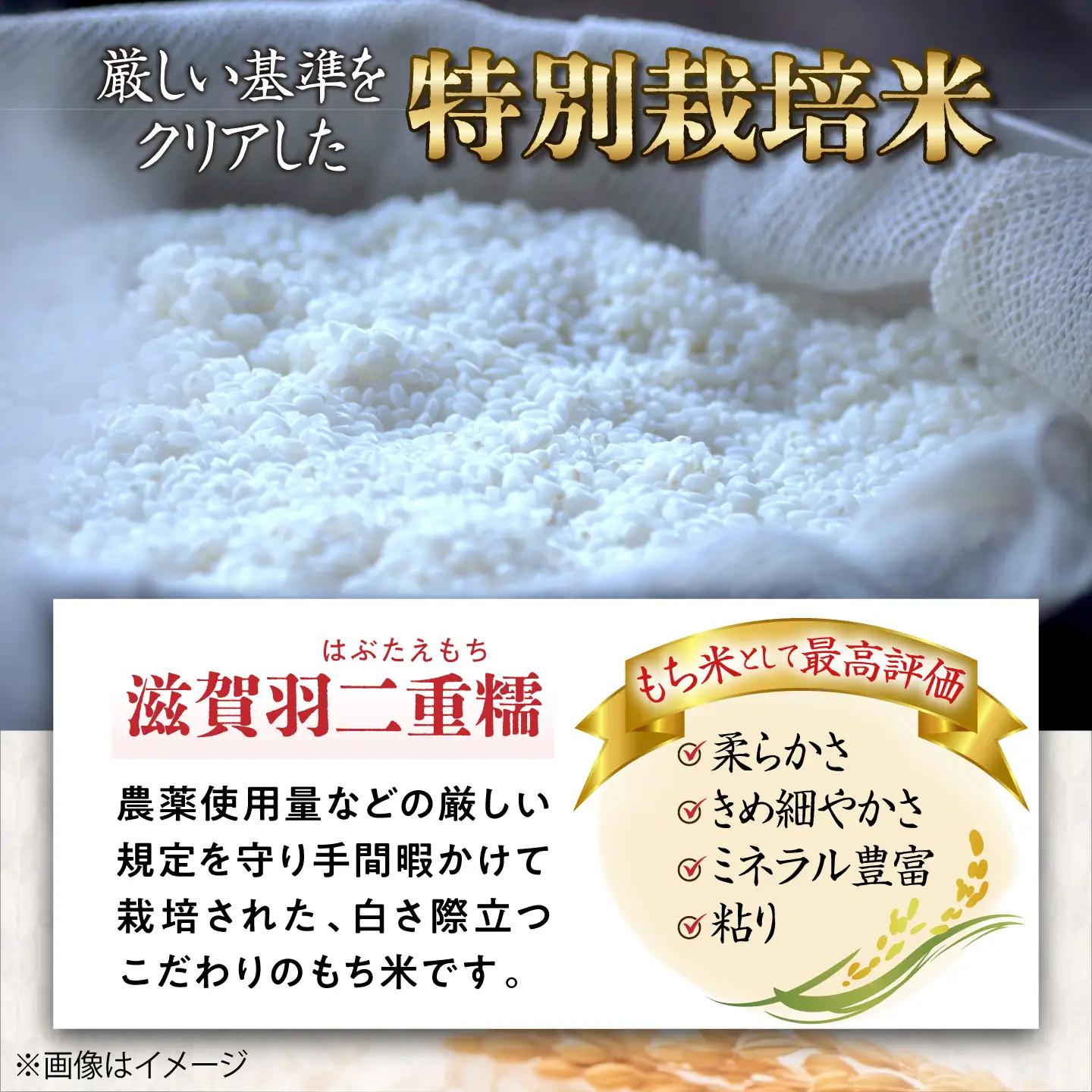 もち米【特別栽培米】羽二重糯（はぶたえもち）5kg×2[AQCQ011] もち米