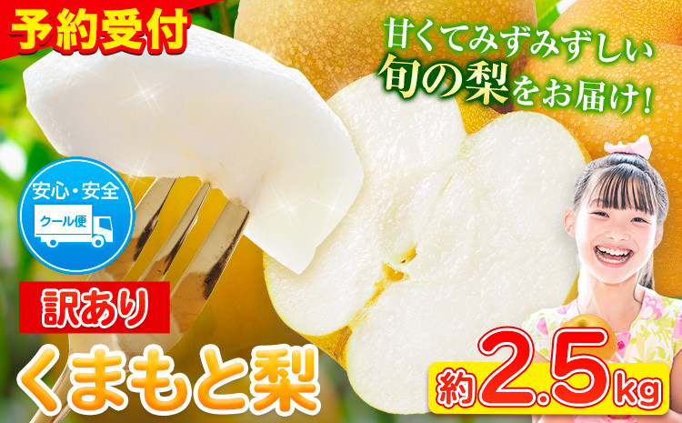 
            ＼2025年産先行予約／  くまもと 梨 訳あり 熊本県産 約2.5kg 3～14玉 フルーツ 予約 秋 旬 クール便 《2025年8月下旬‐11月上旬頃出荷》 SDGs 梨  なし 果物  ギフト  ご贈答 旬の果物 豊水梨 あきづき 新興梨
          