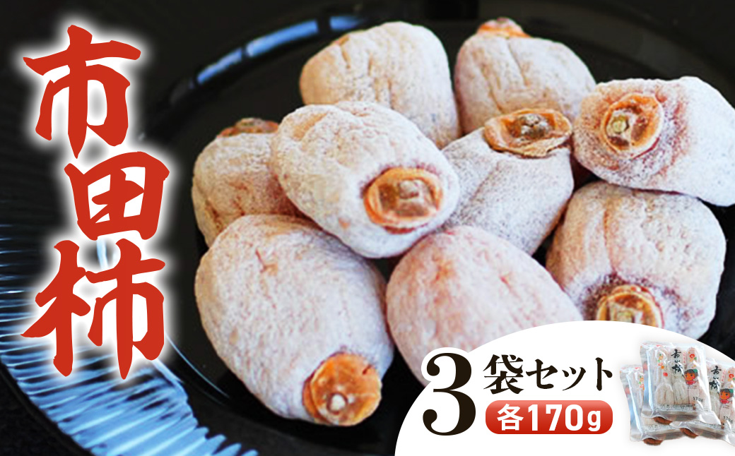 A-112　南信州に伝わる伝統の味「市田柿」170ｇ×3袋セット ＜2027年1月中旬～2月下旬発送＞