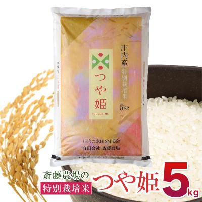 ふるさと納税 鶴岡市 【令和7年産】斎藤農場の特別栽培米つや姫5kg　[K-756]