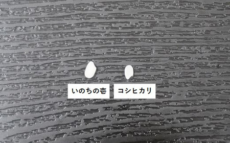 【定期便【令和5年産】】嶺南ファームの嶺岡米「いのちの壱」5kg×6ヶ月　[0090-0003]