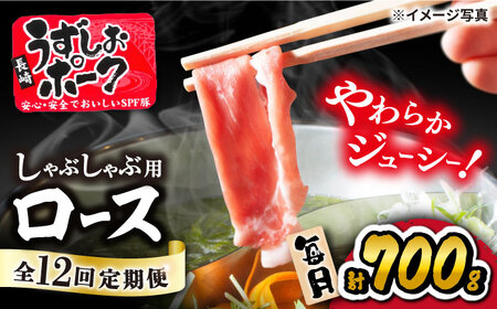 12回定期便 国産豚シャブシャブ用 700g 訳あり CAG030 豚肉