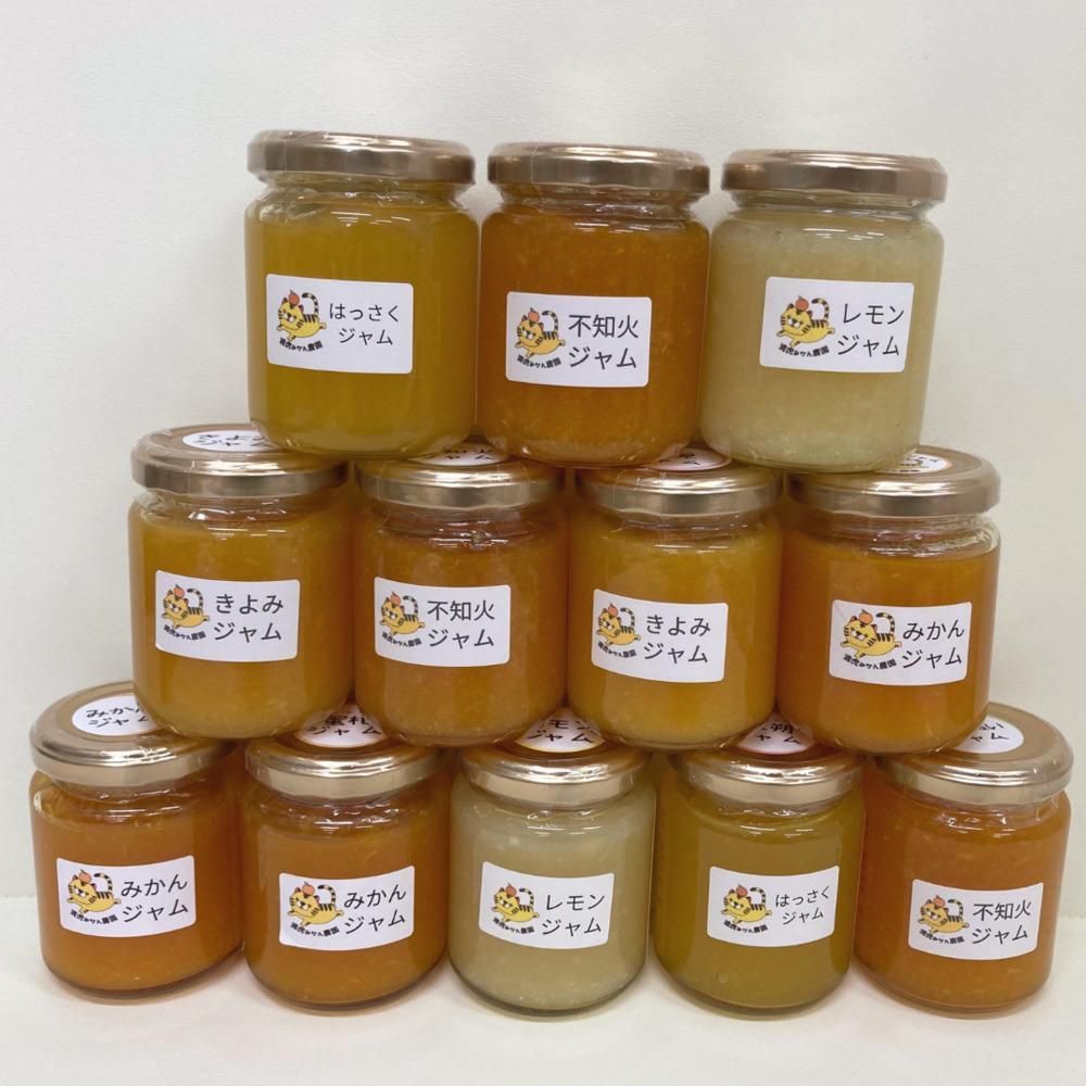 【2026年3月以降順次発送】数量限定！店主にお任せ 無添加 柑橘ジャム140g×3個