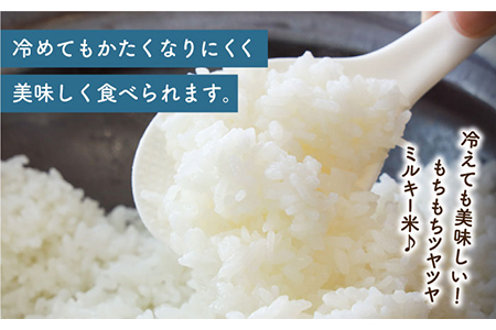 【冷めてもおいしい】五島産 ミルキー舞 5kg ミルキークイーン 五島市 / ファームランド五島 [PBN003] 米 精米 白米 ご飯 米 精米 白米 ご飯 米 精米 白米 ご飯 米 精米 白米 ご