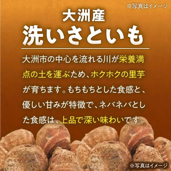 【冷凍】洗い 里芋 500g×3袋 里芋【10月上旬から順次発送】 [AGBN039]
