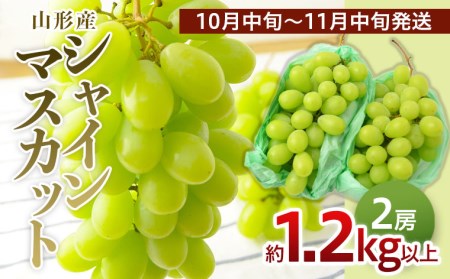 山形のぶどう シャインマスカット 1.2kg以上(2房)[10月中旬～11月中旬お届け]【令和8年産先行予約】FU22-795 くだもの 果物 フルーツ 山形 山形県 山形市 2026年産
