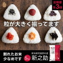 【ふるさと納税】 【3か月定期便】 新之助 5kg×3回 計 15kg 米杜氏 壱成 白米 精米 大粒 つや 光沢 弾力 芳醇