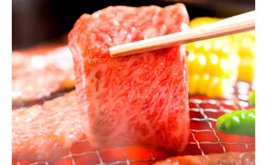【2027年1月より順次発送】【和牛セレブ】常陸牛 焼肉 リブロース 200g×6P 国産牛 黒毛和牛 和牛 肉 牛肉 ステーキ 小分け お取り寄せ 茨城県 水戸市（OM-9）