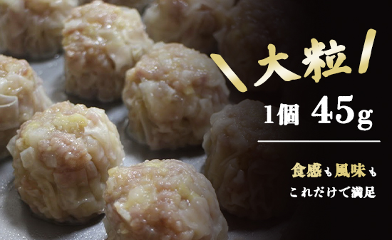 シュウマイ 焼売 みつる食堂 復刻 大粒 ジューシー 16個 1粒45g プレーン ＆ カレー おかず 京都 舞鶴 