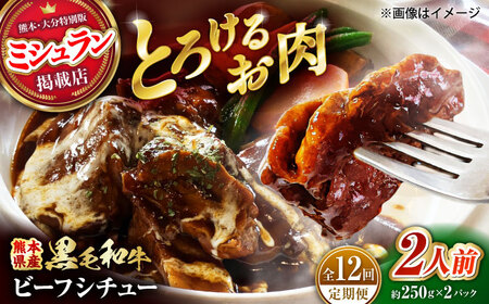 【全12回定期便】 熊本県産 黒毛和牛 こだわりのビーフシチュー 計2パック （約250g×2パック） ビーフシチュー ビーフ シチュー 牛肉 肉 　【有限会社スイートサプライなかぞの】[ZBV110]