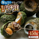 【ふるさと納税】ボイル ミナ貝 450g（殻付き300g・殻剥き150g）《壱岐市》【鈴の海庭】 貝 魚貝 海産物 ボイル 刺身 小分け おつまみ サザエ ニナ貝 シッタカ[JFV001] 冷凍配送