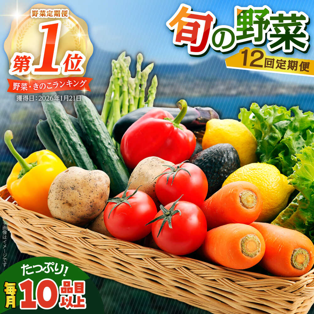【ふるさと納税】【12回定期便】地元農家さんが収穫した旬のお野菜 10種詰め合わせ / 野菜 旬 新鮮 採れたて 季節野菜 旬野菜 農家直送 野菜定期便 定期便 / 南島原市 / ミナサポ [SCW047]