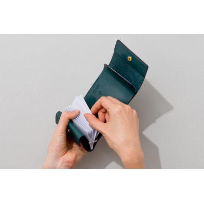 colmのコンパクト財布 キャメル「カードが見やすく取り出しやすい小さな財布」