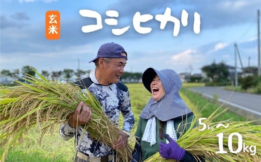 
            【令和7年産 新米先行予約】たきちゃん農場のコシヒカリ 玄米 選べる容量 5kg　10kg
          