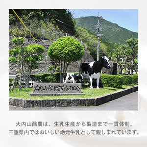 （冷蔵） 大内山ミルク村　おすすめ　Ａ／冷蔵　ふるさと納税　プリン　ヨーグルト　牛乳　乳飲料　バター　大紀ブランド　三重県　大紀町