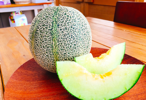 A-1151 糖度14度以上のアムスメロン　高級赤秀品　2玉