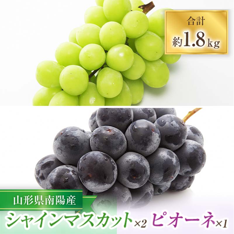 【ふるさと納税】 【令和8年産先行予約】 シャインマスカット 2房 ＋ ピオーネ 1房 《令和8年9月中旬～発送》 『漆山果樹園』 マスカット 葡萄 ぶどう ブドウ 果物 フルーツ デザート 山形県 南陽市 [812-R8]