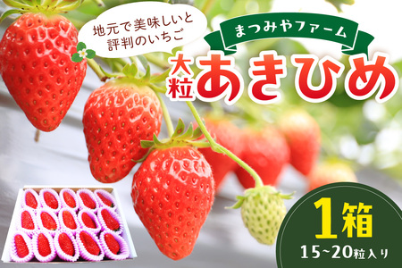 【先行予約／数量限定200】【特選】京都・まつみやファームの大粒いちご（あきひめイチゴ）15～20粒（2026年2月上旬～発送） いちご農家直送の苺・大粒イチゴ・京都産いちご・イチゴ