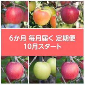【発送月固定定期便】〈2025年10月より順次発送〉甘味系・青森県産りんご約3kg全6回【配送不可地域：離島・沖縄県】【4068297】