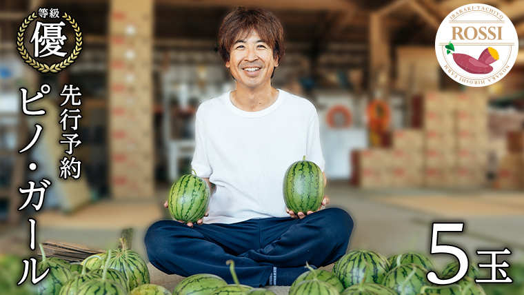 【 先行予約 7月下旬 以降発送 】 小玉 スイカ ピノ・ガール 5玉 優以上 NONAKA HIROSHI FARM すいか 西瓜 数量限定 甘い 夏 果物 旬 [AX030ya]