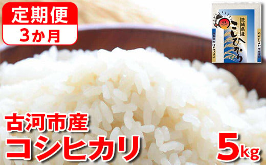 
            【新米】【定期便 3か月】令和6年産 古河市産コシヒカリ 5kg◇ | 米 こめ コメ 5キロ 定期便 精米 こしひかり 単一米 国産 古河市産 茨城県産 贈答 贈り物 プレゼント 茨城県 古河市 直送 農家直送 産地直送 送料無料 _DP34
          