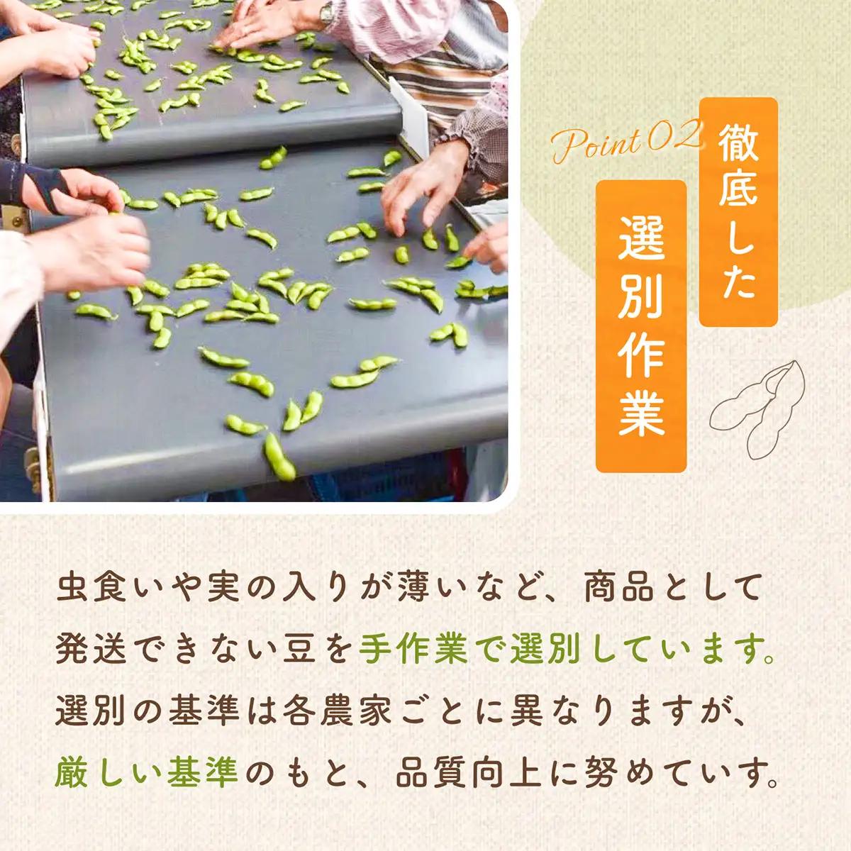 【令和8年産 先行予約】 だだちゃ豆(白山)　 1.5kg　(500g×3袋) 　だだちゃ喜左衛門株式会社　