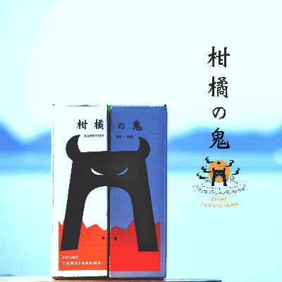 愛媛県八幡浜市産大玉みかん11kg【C56−59】【配送不可地域：離島】【1572269】