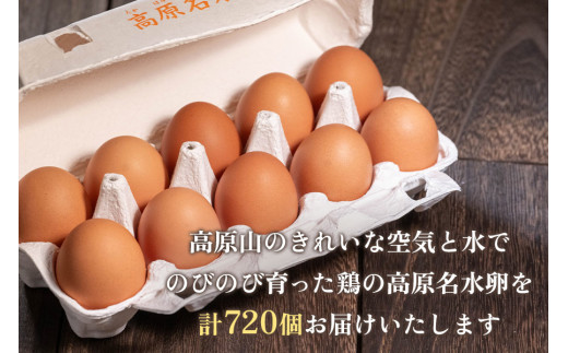 【定期便12回】高原名水 卵 60個｜豊かな自然で育ったアスタキサンチン含有の高原名水卵【感動の甘さと濃さ】栃木県 矢板市